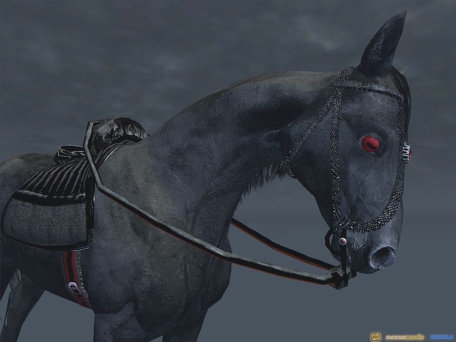 |Oblivion| Чёрный конь
