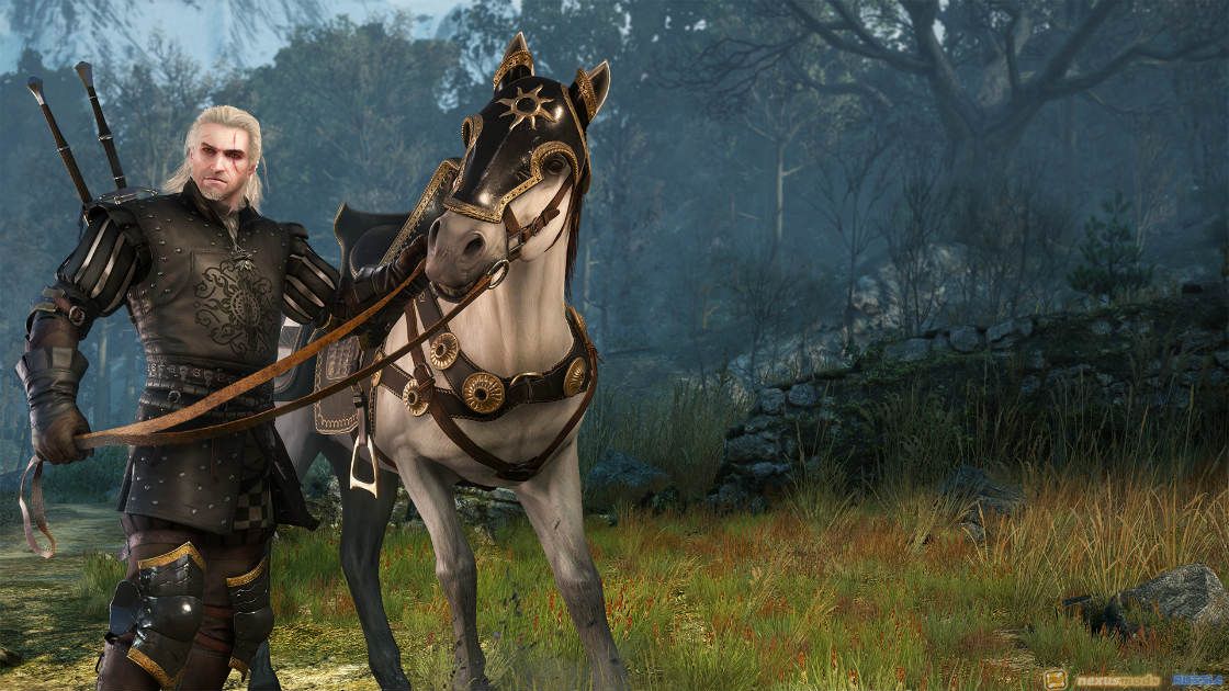 DLC 5 - The Witcher 3 Wild Hunt - Nilfgaardian Armor Set