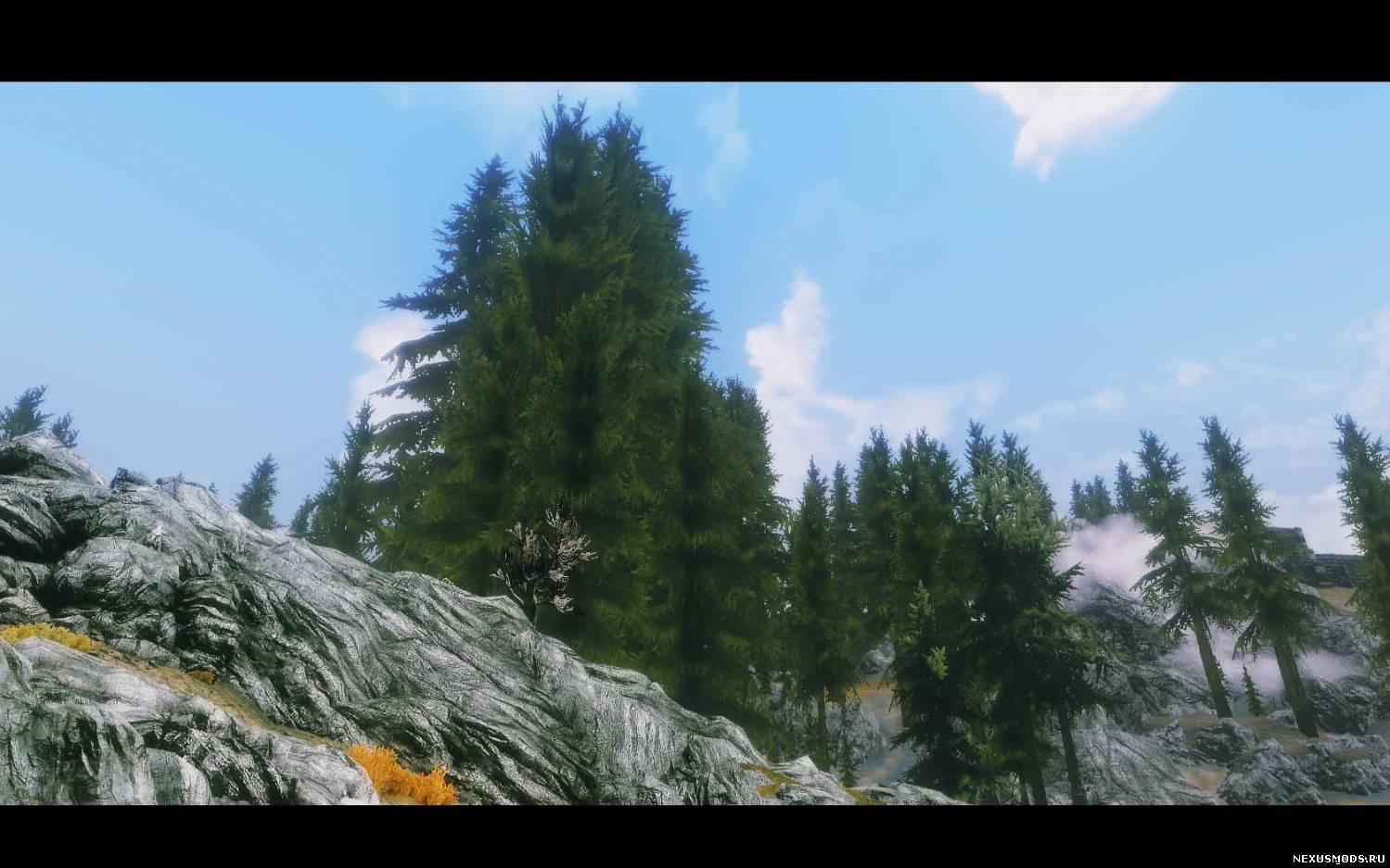 HD ретекстур деревьев для Skyrim